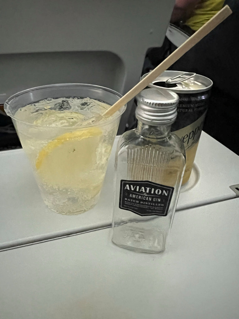 Traditionele Gin Tonic in het vliegtuig - Besems.eu