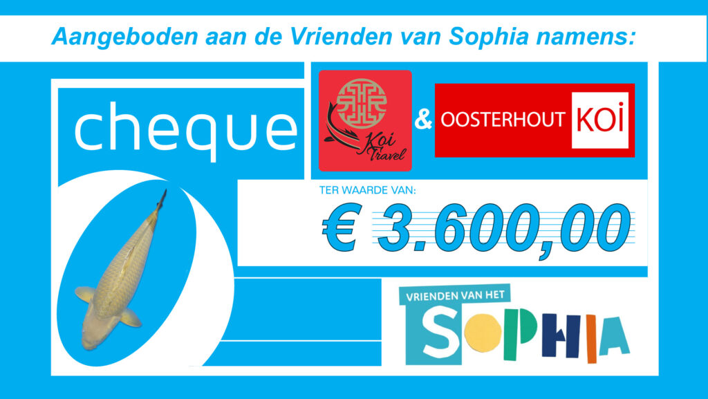 De virtuele cheque voor het goede doel