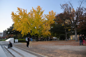 Het “vredesmonument” in Hiroshima, de Genbaku - Besems.eu